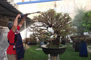 Máy đa năng xịt rụng lá, vệ sinh cây cảnh được Nghệ Nhân Chong Yong Yap tín nhiệm sử dụng