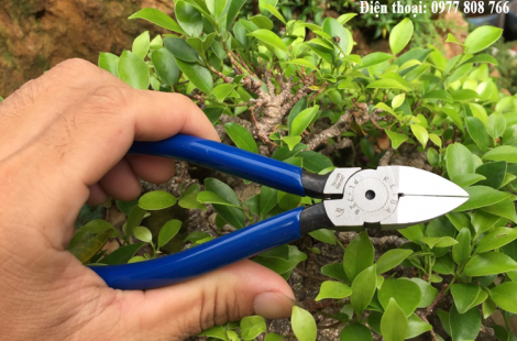 Kềm cắt dây kẽm bonsai